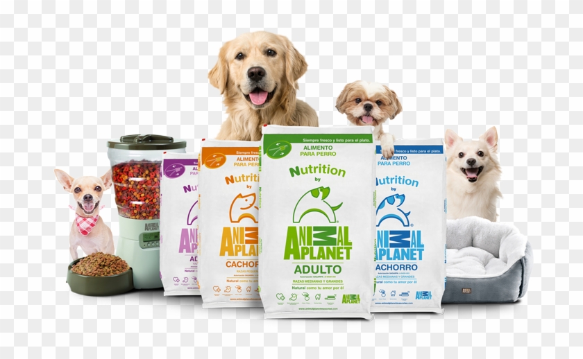 Premium Organic Dog Food – Chicken & Rice 